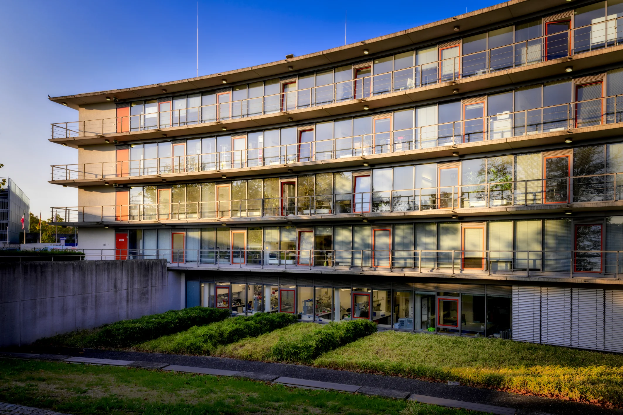 Biomedizinisches Zentrum