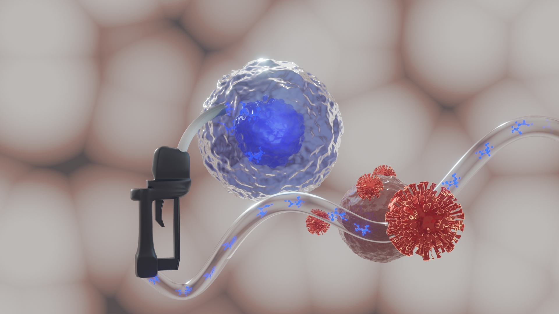 Illustration - Wenn T-Zellen (blau-weiße Kugel) Energie in Form von Ketonkörpern (blau) tanken, können sie schlagkräftiger gegen Viren vorgehen.