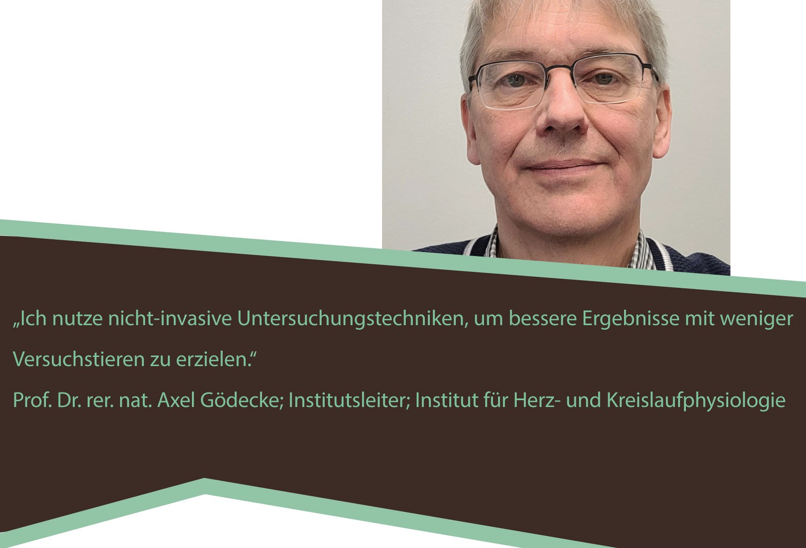 Prof. Dr. rer. net. Alex Gödecke
