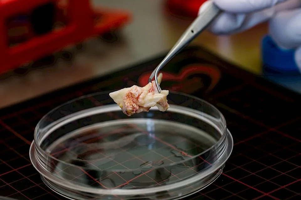 Untersuchungen im Labor