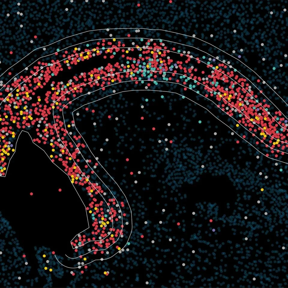 Räumliche Transkriptomik-korrelierte Elektronenmikroskopie