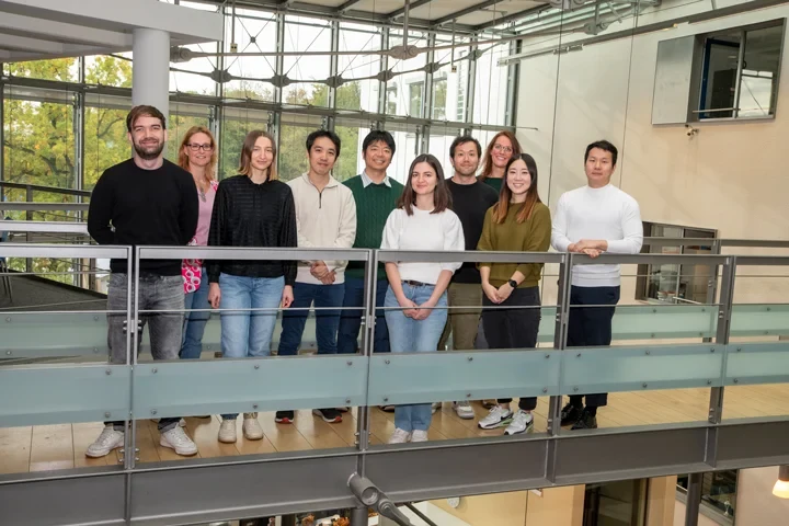 Molekularer Mechanismus für tödliche Nephritis aufgeklärt: Das Team um Prof. Hiroki Kato hat herausgefunden, wie kleine RNA-Moleküle den mutierten viralen Sensor RIG-I aktivieren und zu tödlicher Nephritis führen.