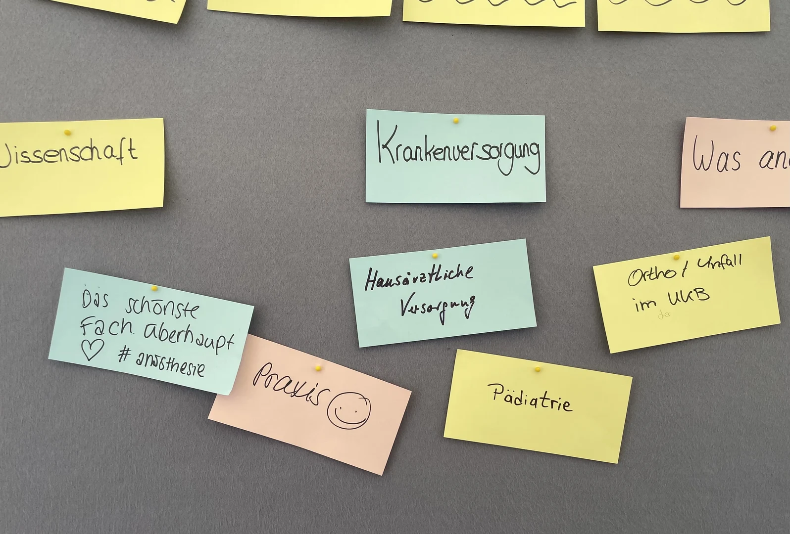 Das machen Absolvent*innen der Medizinischen Fakultät heute beruflich