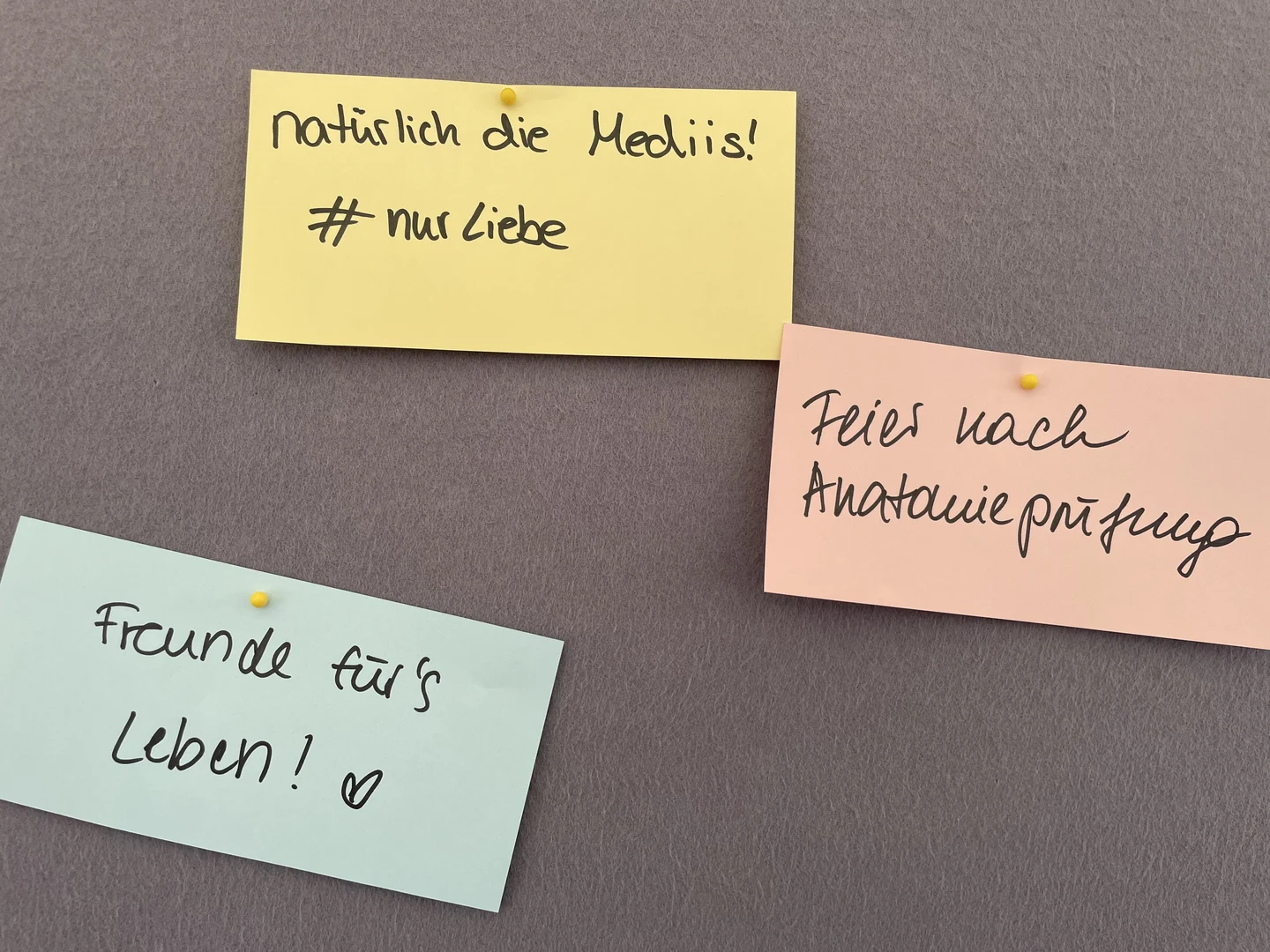 Das waren einige der schönsten Erinnerungen an die Studienzeit von Alumni der Fakultät