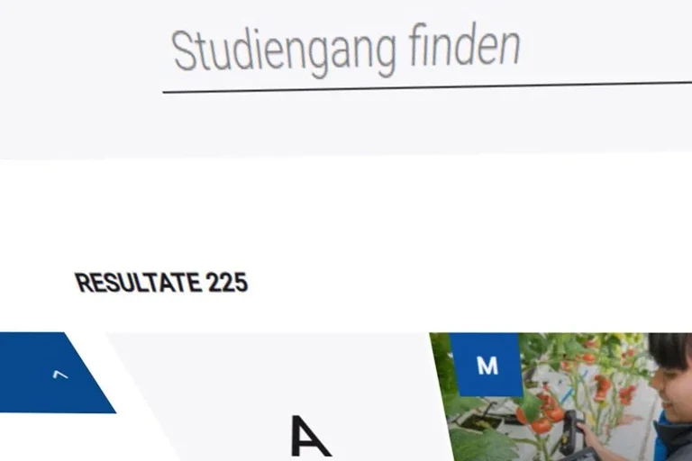 Studienangebot.jpg