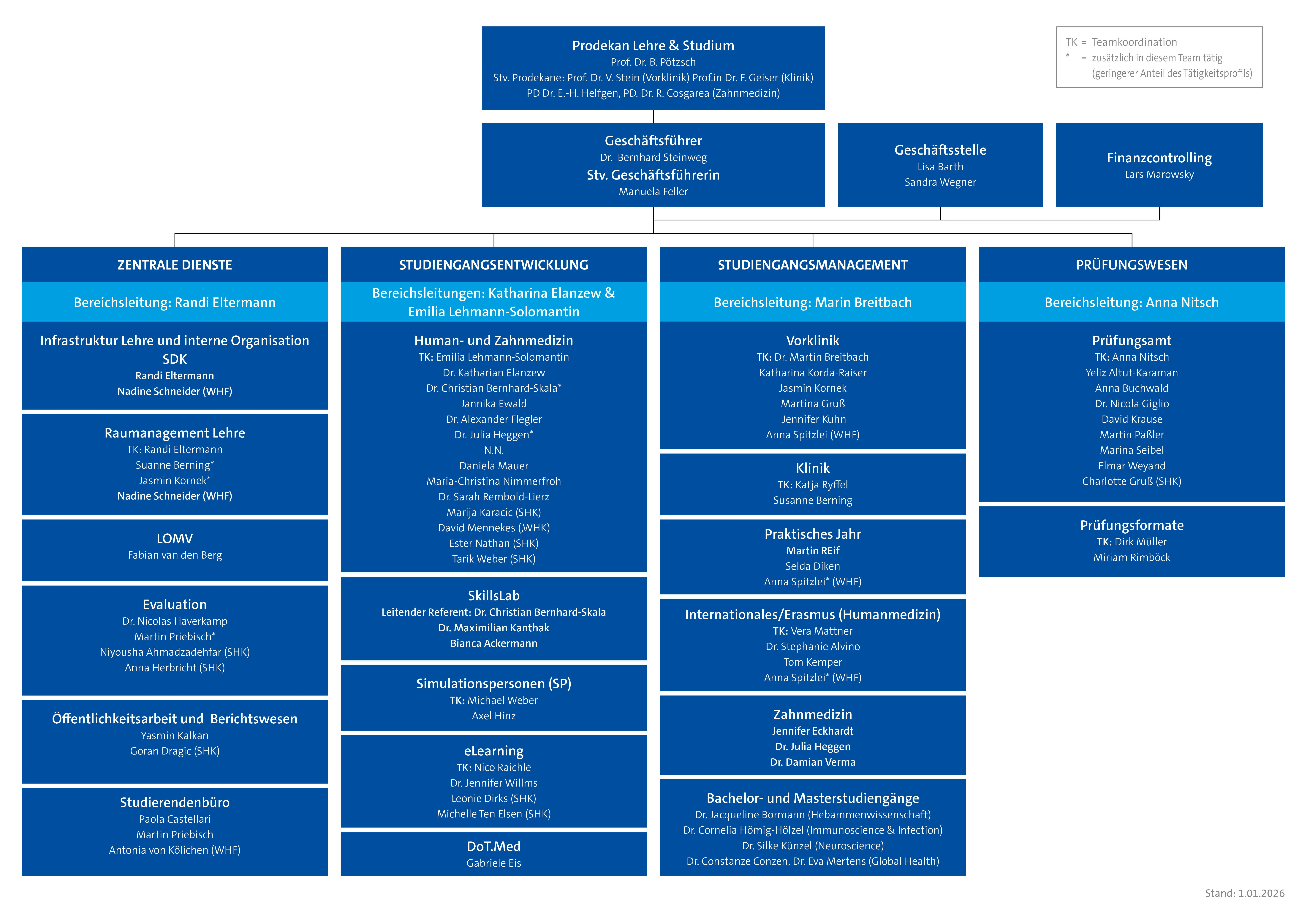 Organigramm Studiendekanat.jpg