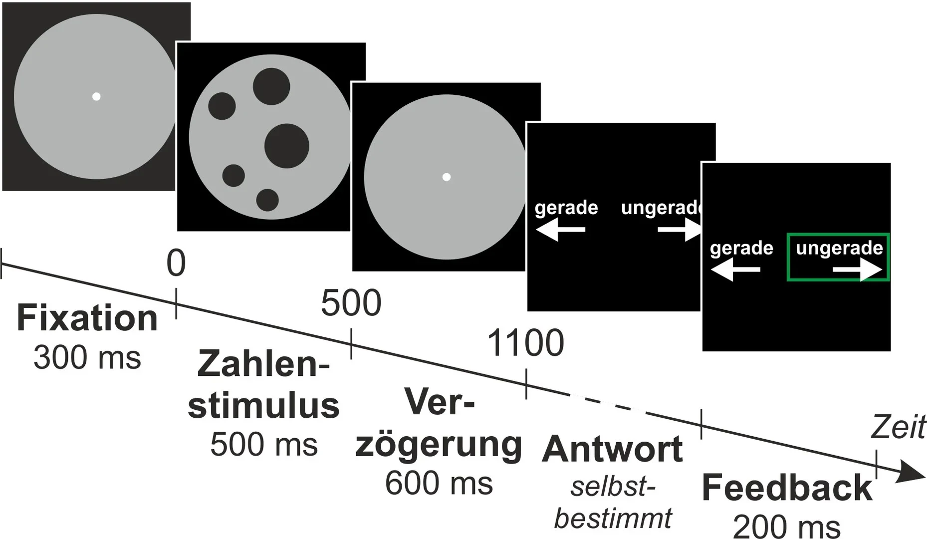 The study participants - saw a set of dots on the screen in front of them for half a second. After a short pause they had to indicate whether the number had been even or odd. If the number of dots was less than five, they usually gave the correct answer without hesitation. Above that, both response time and error rate steadily increased.