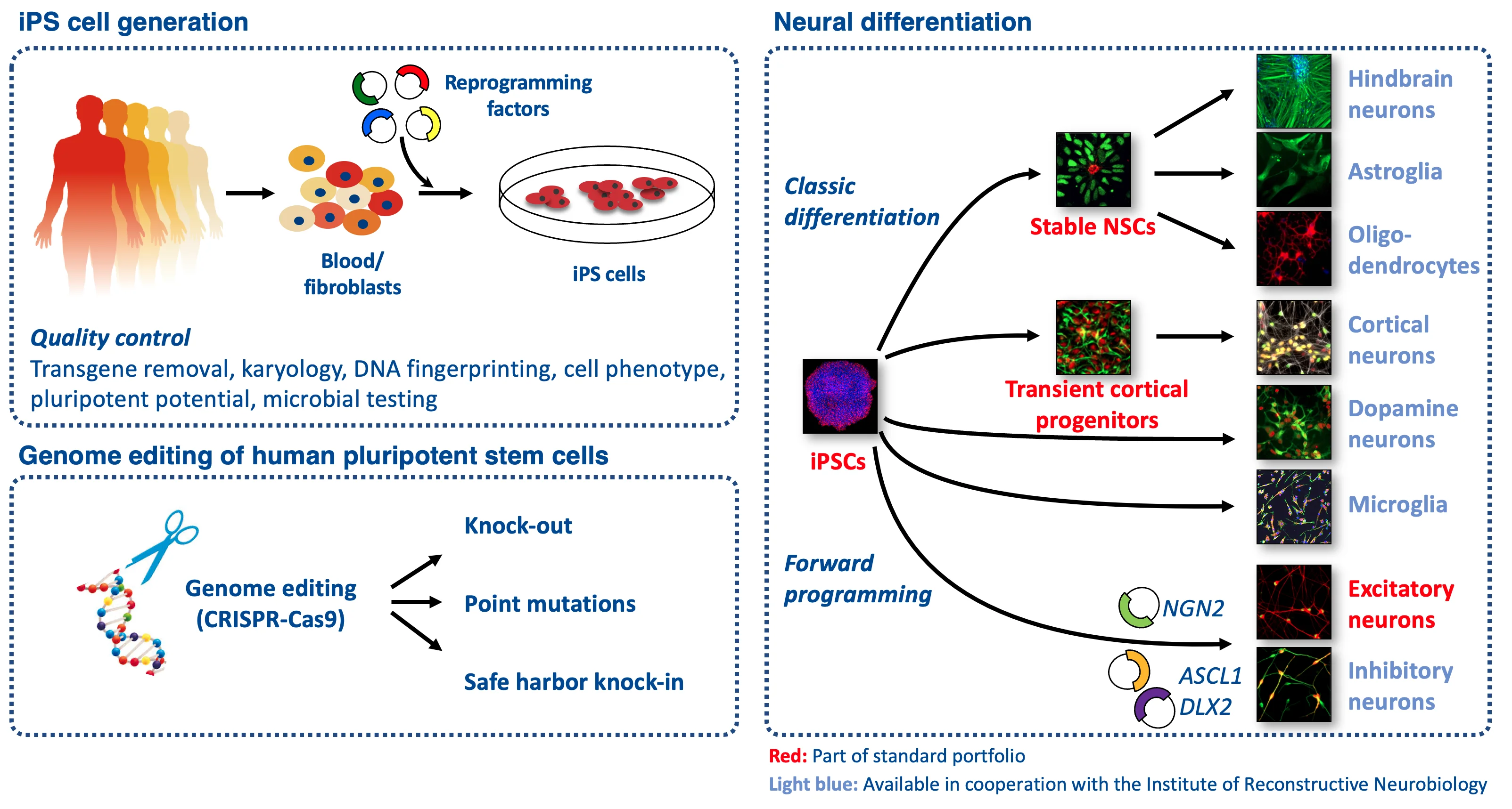 Portfolio_Urheber_Michael Peitz.png
