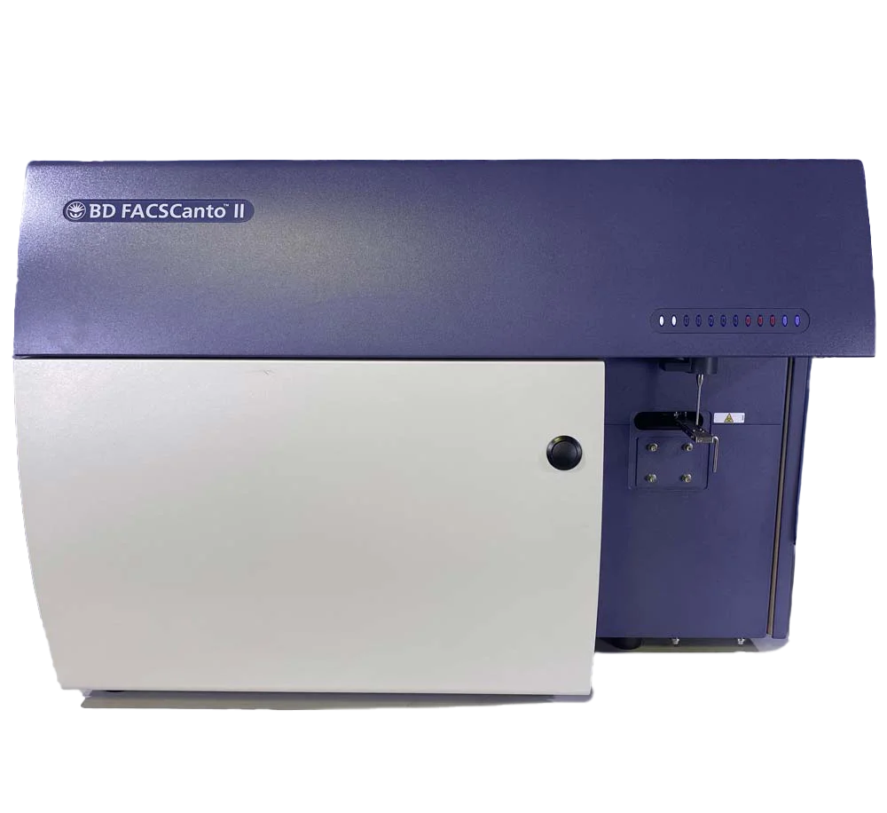 CantoII ohne Loader frei.png