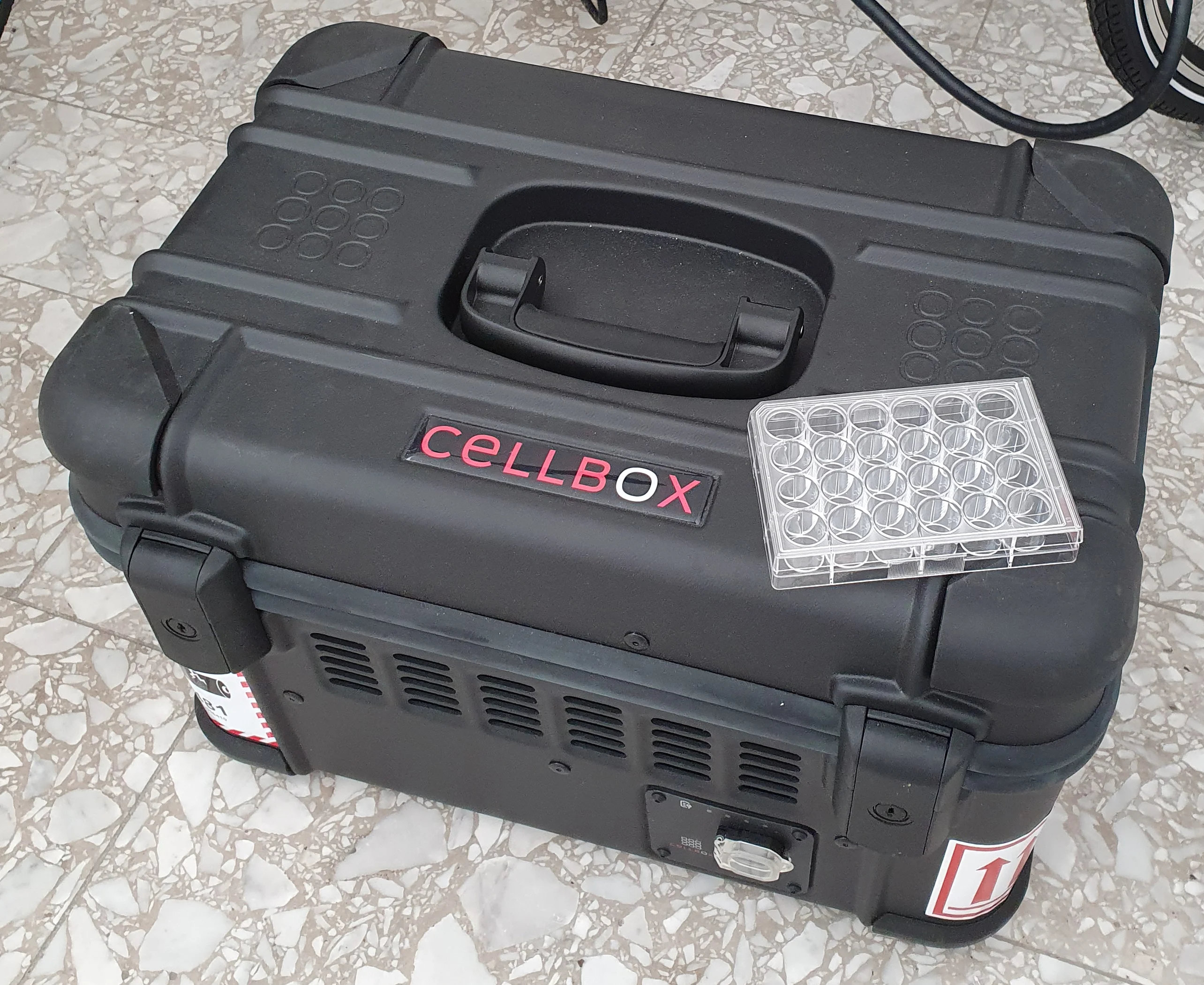 cellbox1.jpg