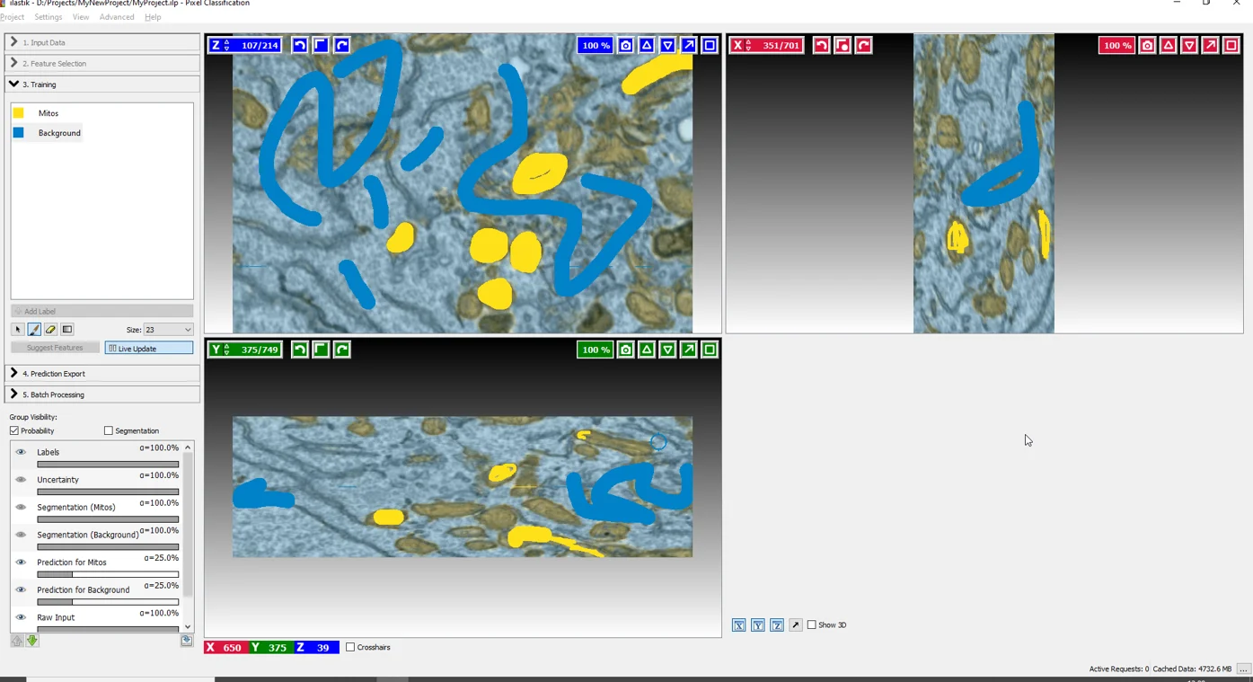 ilastik Screenshot