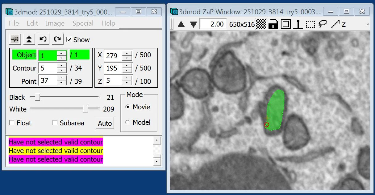 IMOD figure1.webp