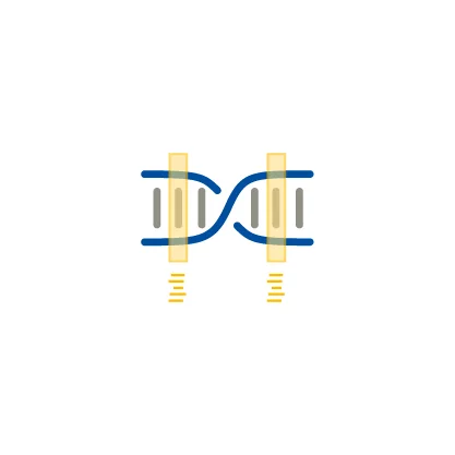 Targeted_Sequencing_Icon_Urheber_Christine_Fischer