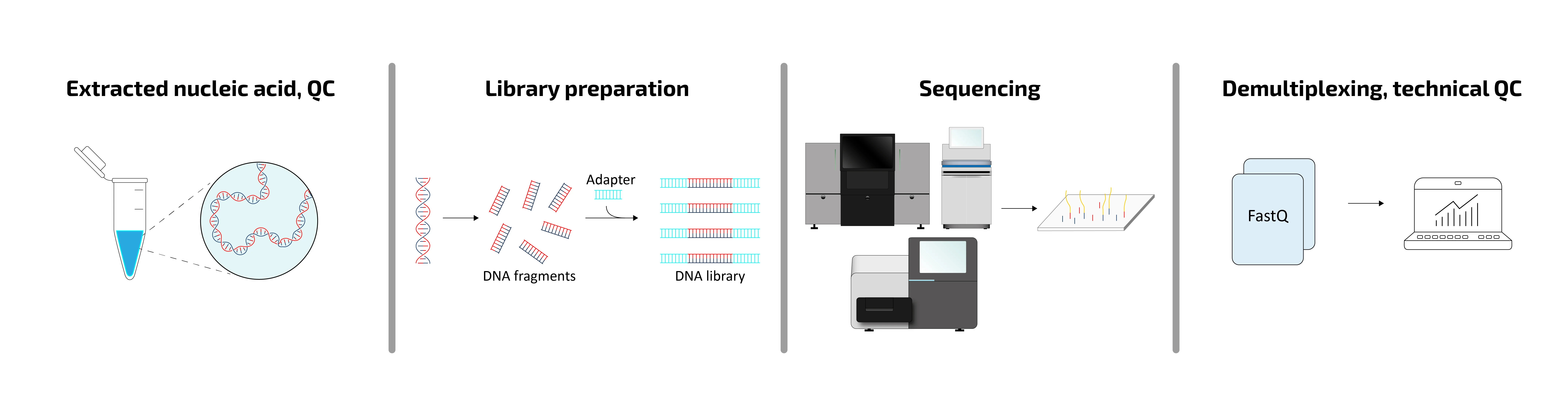 NGS_Workflow_Urheber_Christine_Fischer