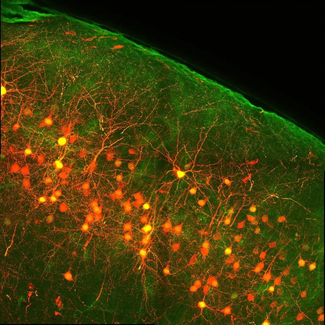 Eine Wissenschaftlerin und ein Wissenschaftler arbeiten hinter einer Glasfassade und mischen Chemikalien mit Großgeräten.