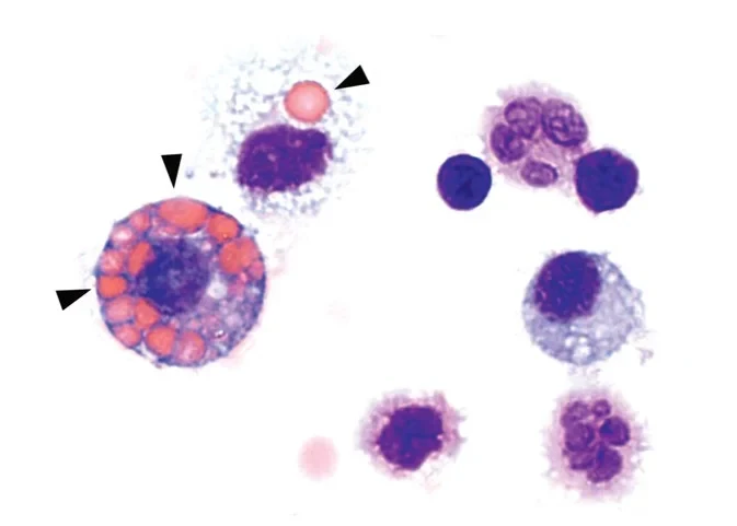 DNA guardians out of control