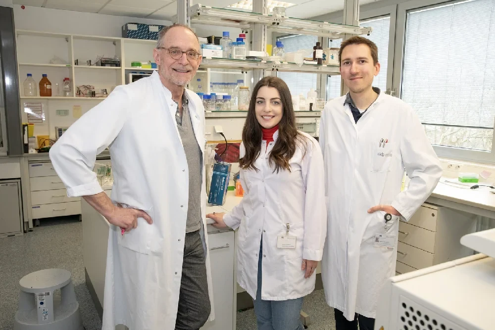 Malfunction in spermatogenesis