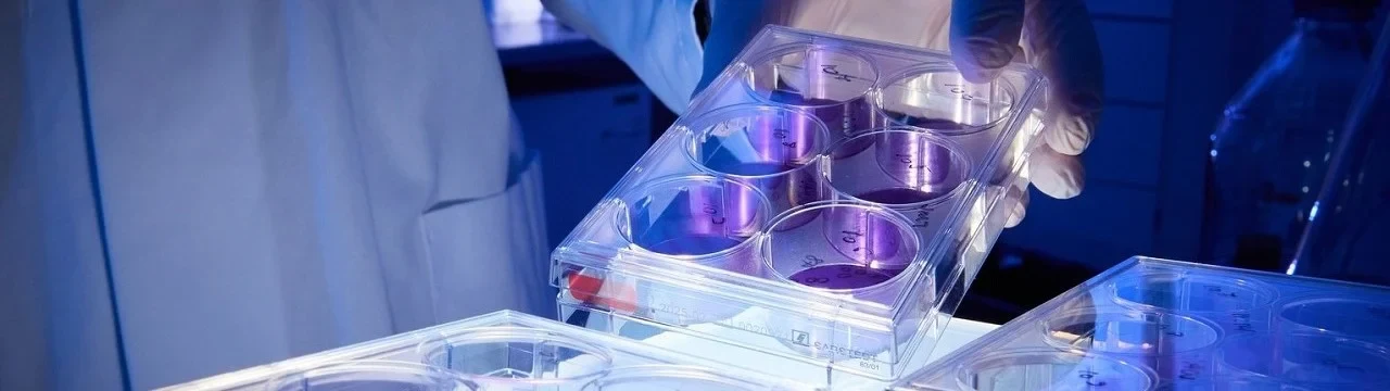 Nanobodies Core Facility