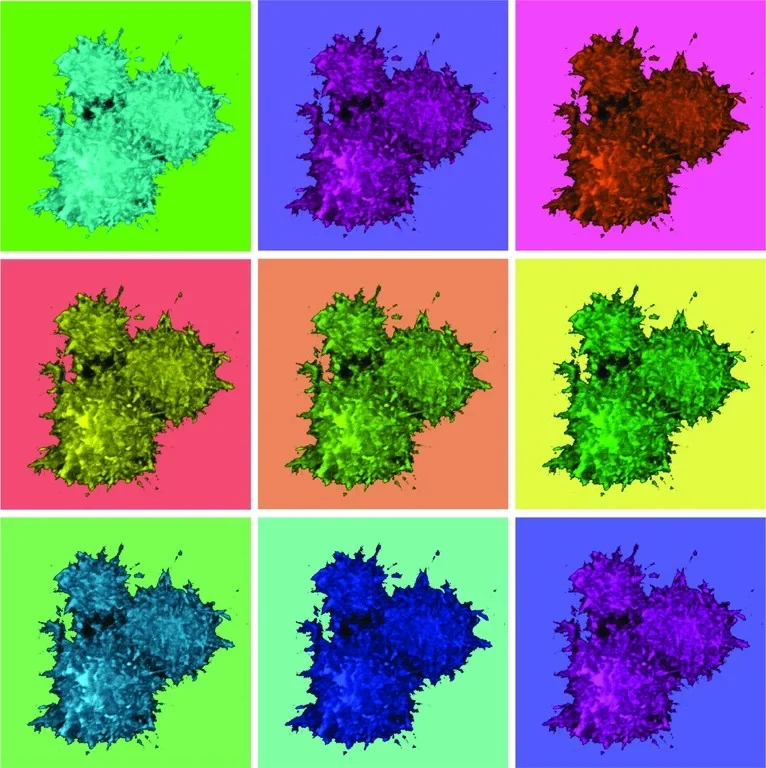 ASC specks - - shown here in different colors - are large complexes of many copies of the ASC protein. They can cause immense damage in the tissue.