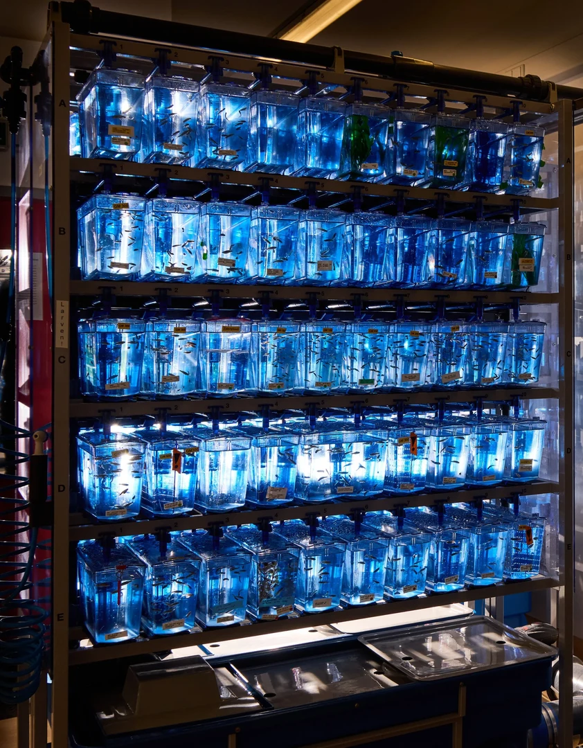 Eine Wissenschaftlerin und ein Wissenschaftler arbeiten hinter einer Glasfassade und mischen Chemikalien mit Großgeräten.